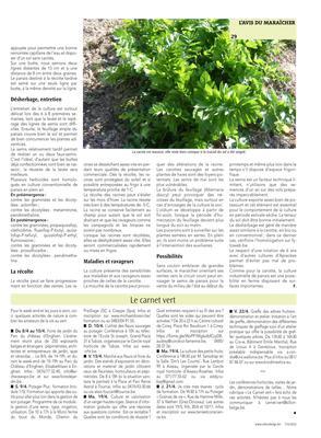 Le carnet vert