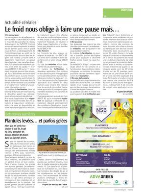 Le froid nous oblige à faire une pause mais… Le froid nous oblige à faire une pause mais…