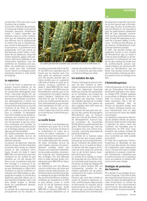Faire le bilan des risques encourus pour décider de la stratégie à appliquer Faire le bilan des risques encourus pour décider de la stratégie à appliquer
