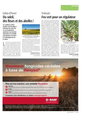 Du soleil, des fleurs et des abeilles! Du soleil, des fleurs et des abeilles!