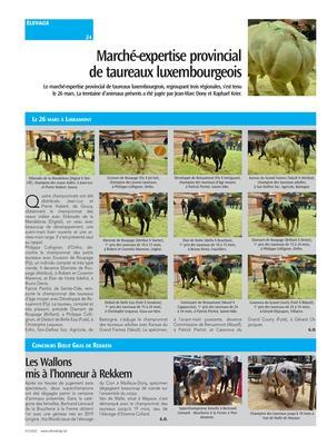Les Wallons mis à l’honneur à Rekkem Les Wallons mis à l’honneur à Rekkem