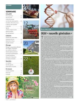 Actualité Actualité