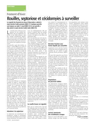 Rouilles, septoriose et cécidomyies à surveiller Rouilles, septoriose et cécidomyies à surveiller