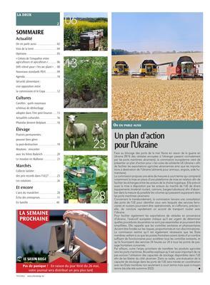 Actualité Actualité