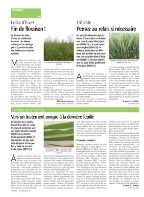 Vers un traitement unique à la dernière feuille Vers un traitement unique à la dernière feuille