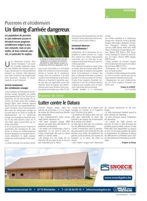 Lutter contre le Datura Lutter contre le Datura