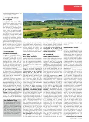 Baux antérieurs à la nouvelle réforme:une interprétation qui peut poser problème Baux antérieurs à la nouvelle réforme:une interprétation qui peut poser problème