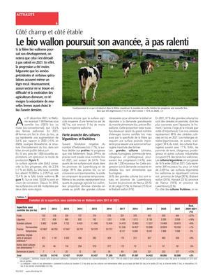 Le bio wallon poursuit son avancée, à pas ralenti Le bio wallon poursuit son avancée, à pas ralenti