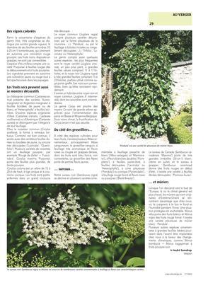 Quand nos espèces fruitièresse déclinent en variétés ornementales Quand nos espèces fruitièresse déclinent en variétés ornementales