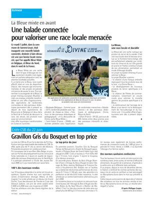 Gravillon Gris du Bosquet en top price Gravillon Gris du Bosquet en top price