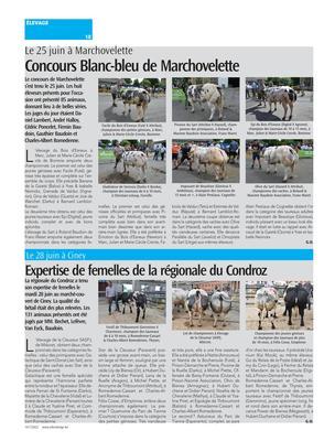 Expertise de femelles de la régionale du Condroz Expertise de femelles de la régionale du Condroz