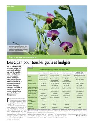 Des Cipan pour tous les goûts et budgets Des Cipan pour tous les goûts et budgets