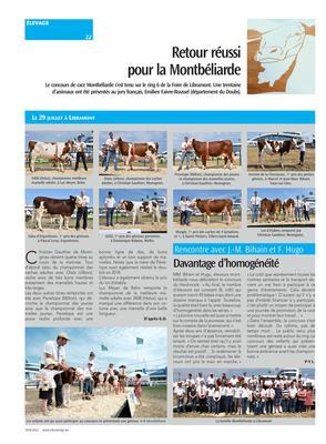 Davantage d’homogénéité Davantage d’homogénéité