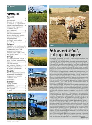 Actualité Actualité