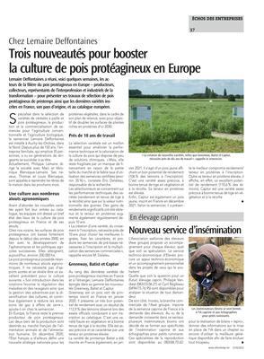 Trois nouveautés pour boosterla culture de pois protéagineux en Europe Trois nouveautés pour boosterla culture de pois protéagineux en Europe