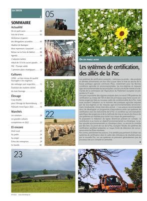 Actualité Actualité