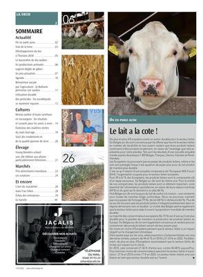 Actualité Actualité