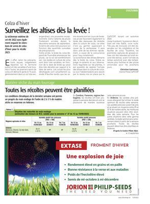 Surveillez les altises dès la levée! Surveillez les altises dès la levée!