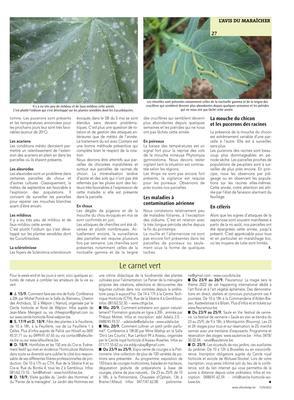 Le carnet vert