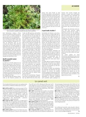 Des salades toute l’année Des salades toute l’année