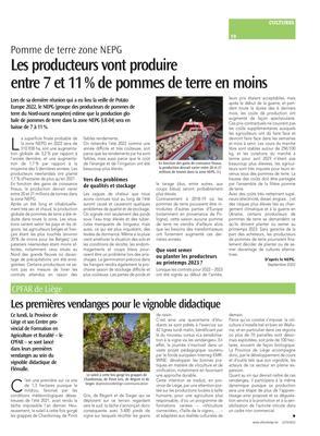 Les producteurs vont produireentre 7 et 11% de pommes de terre en moins Les producteurs vont produireentre 7 et 11% de pommes de terre en moins