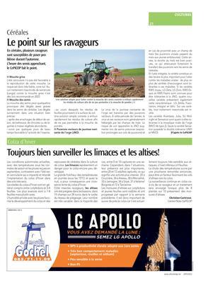 Le point sur les ravageurs Le point sur les ravageurs