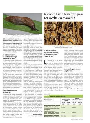 Que faire en présence des ravageurs des céréales? Que faire en présence des ravageurs des céréales?