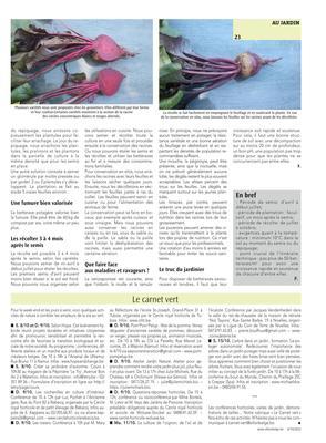 Le carnet vert