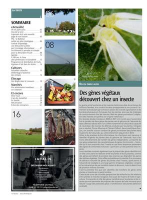 Des gènes végétauxdécouvert chez un insecte Des gènes végétauxdécouvert chez un insecte
