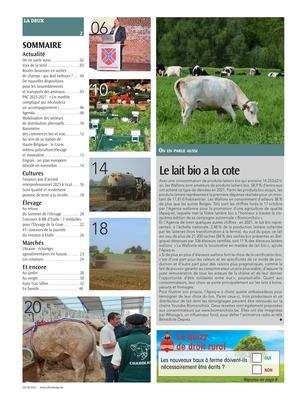 Actualité Actualité