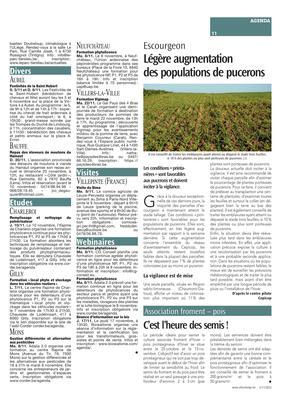 Légère augmentation des populations de pucerons Légère augmentation des populations de pucerons
