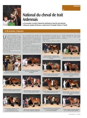National du cheval de traitArdennais National du cheval de traitArdennais