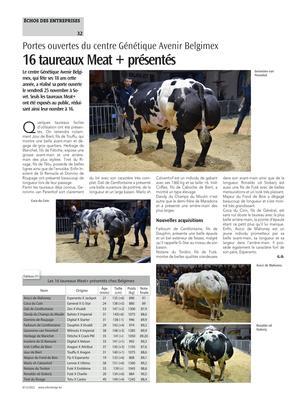 16 taureaux Meat + présentés 16 taureaux Meat + présentés