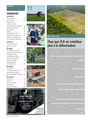 Pour que l’UE ne contribue plus à la déforestation Pour que l’UE ne contribue plus à la déforestation
