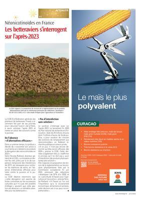 Les betteraviers s’interrogent sur l’après-2023 Les betteraviers s’interrogent sur l’après-2023