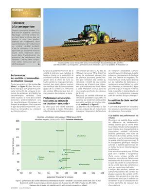 Toléranceà la cercosporiose