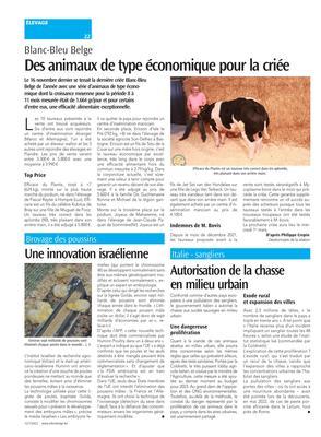 Des animaux de type économique pour la criée Des animaux de type économique pour la criée