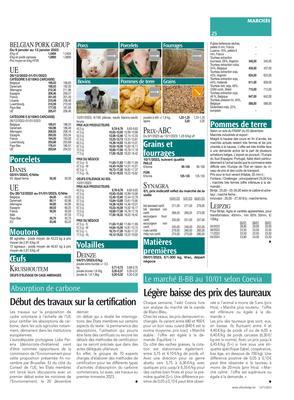 Légère baisse des prix des taureaux Légère baisse des prix des taureaux