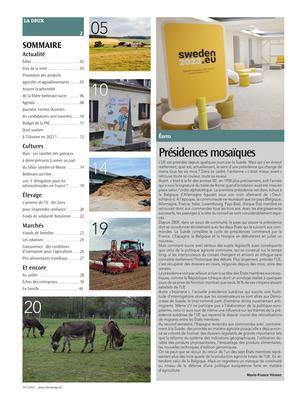 Présidences mosaïques