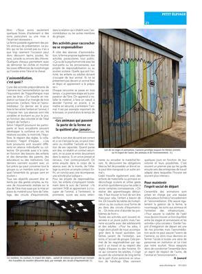 Des ânes pour (re)prendre confiance en s’amusant