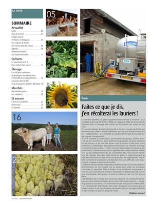 Actualité Actualité