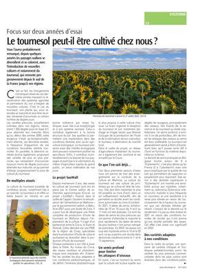 Le tournesol peut-il être cultivé chez nous? Le tournesol peut-il être cultivé chez nous?