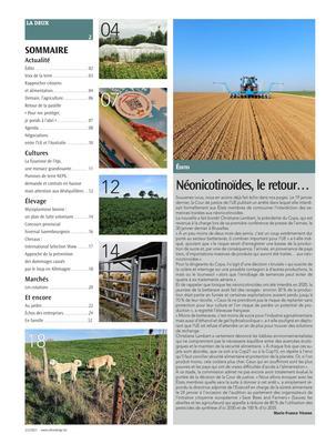 Actualité Actualité