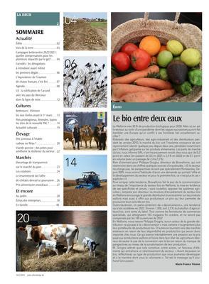 Actualité Actualité