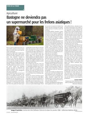 Bastogne ne deviendra pasun supermarché pour les frelons asiatiques!