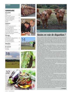 Actualité Actualité