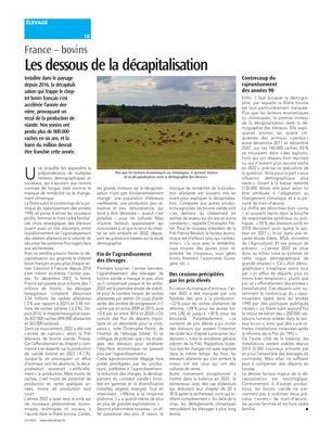 Les dessous de la décapitalisation Les dessous de la décapitalisation