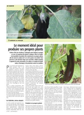 Le moment idéal pourproduire ses propres plants Le moment idéal pourproduire ses propres plants