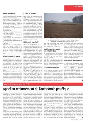 Les règles, la période d’adaptation, les sanctions prévues… Les règles, la période d’adaptation, les sanctions prévues…