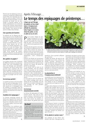 Le temps des repiquages de printemps… Le temps des repiquages de printemps…